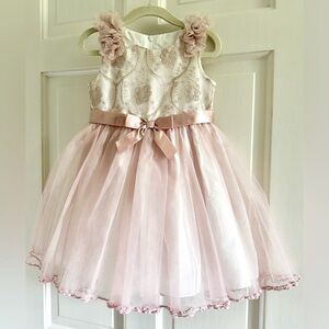 Iris & Ivy 3T Tulle Dress